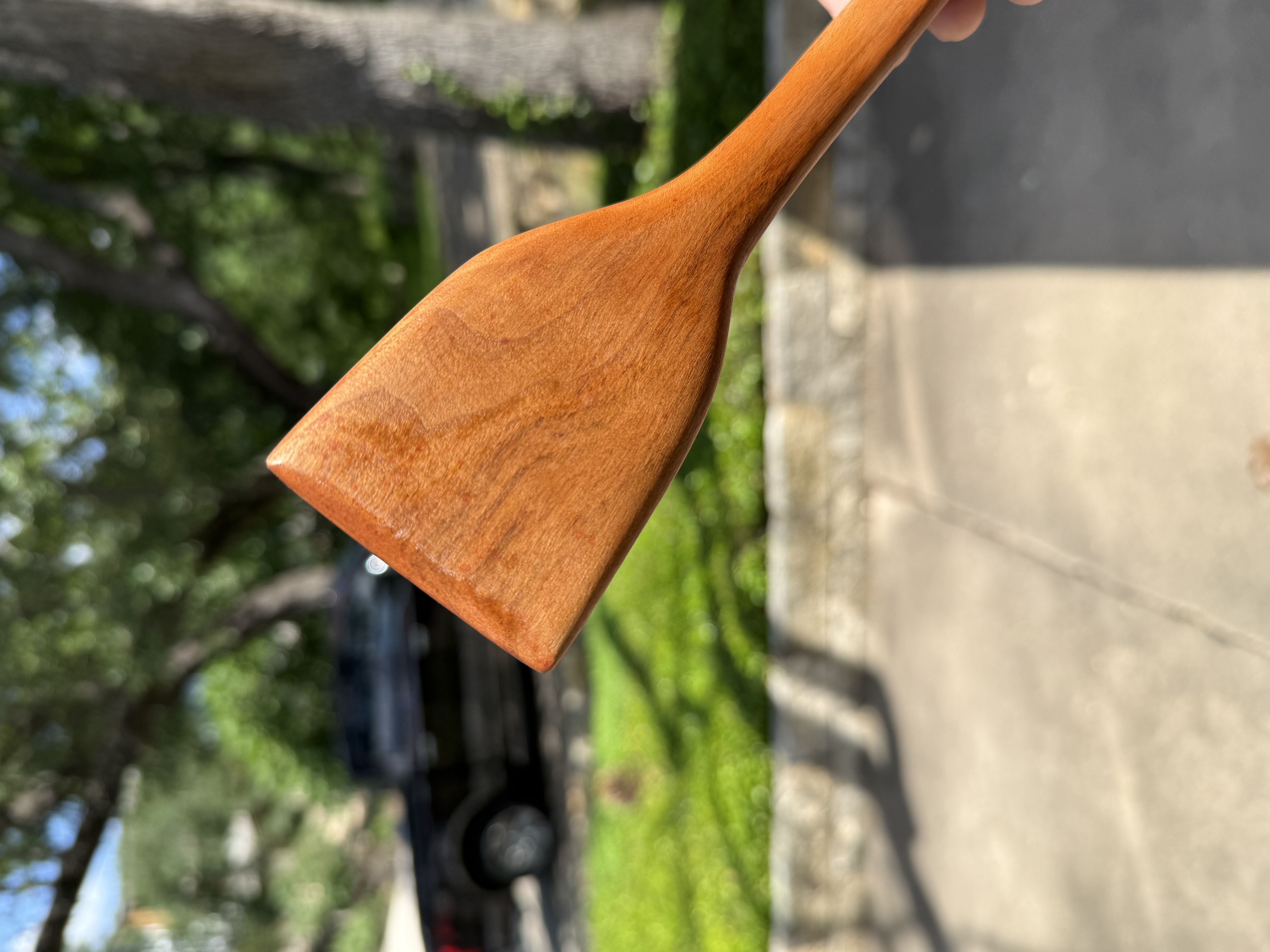 Cherry wood spatula held up against trees and sky